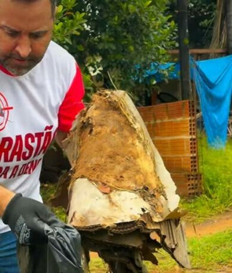 Ilustração da notícia Arrastão Contra a Dengue mobiliza bairros de Alcinópolis até 4 de fevereiro